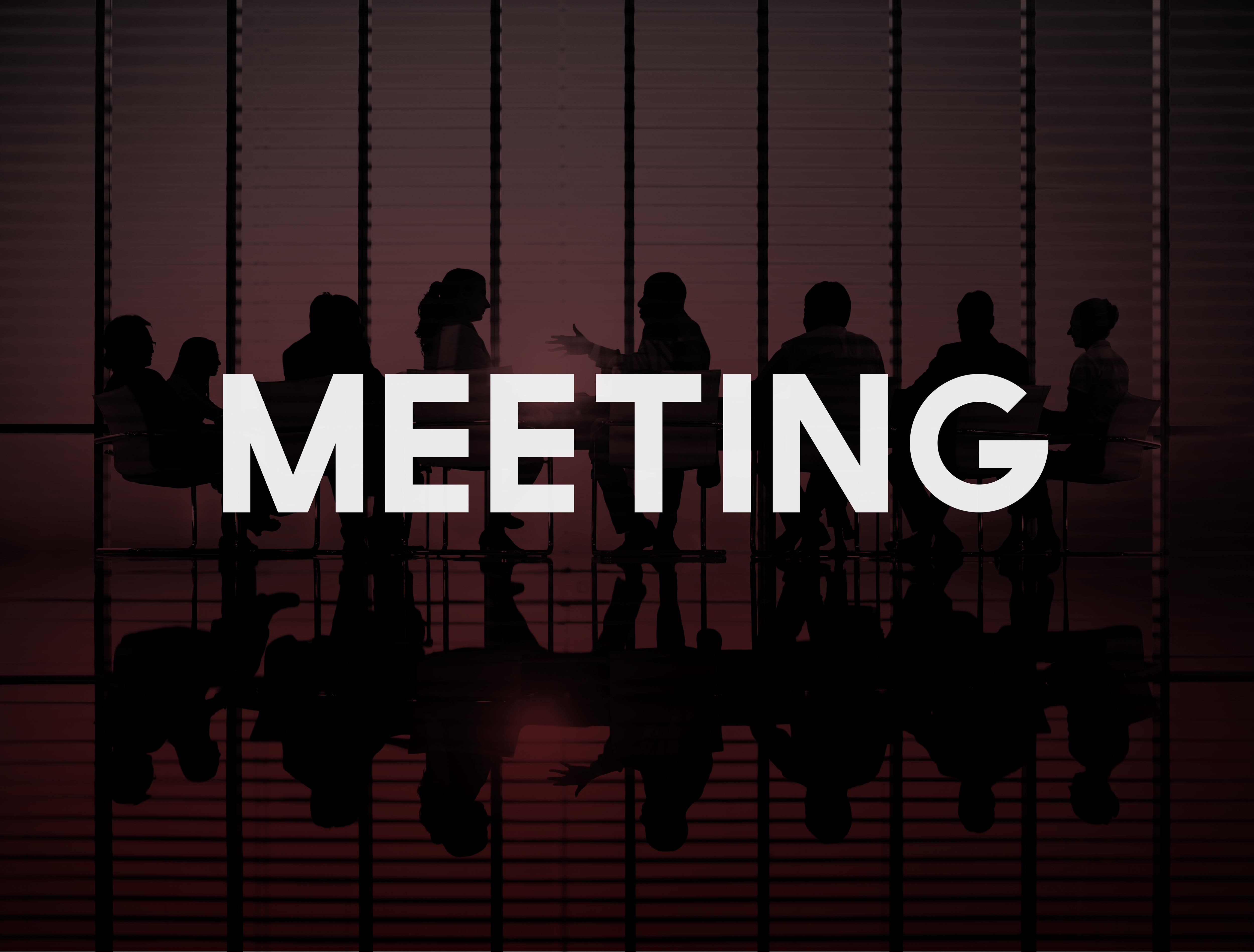 Annual General Meeting (AGM)